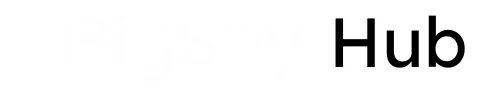 BigSpyhub logo light