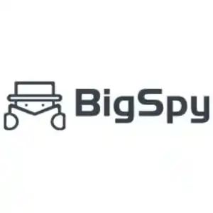 BigSpy Logo